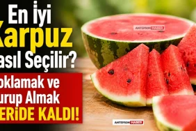 En İyi Karpuz Nasıl Seçilir